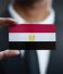 Egypt Residency Permit Cancellation 2026 | Expats Link